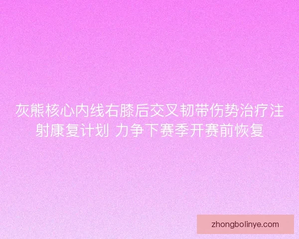 灰熊核心内线右膝后交叉韧带伤势治疗注射康复计划 力争下赛季开赛前恢复