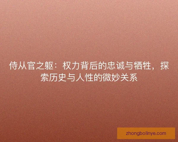 侍从官之躯：权力背后的忠诚与牺牲，探索历史与人性的微妙关系