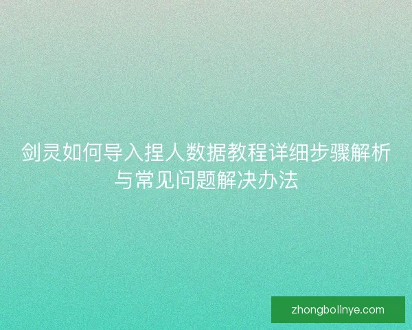 剑灵如何导入捏人数据教程详细步骤解析与常见问题解决办法